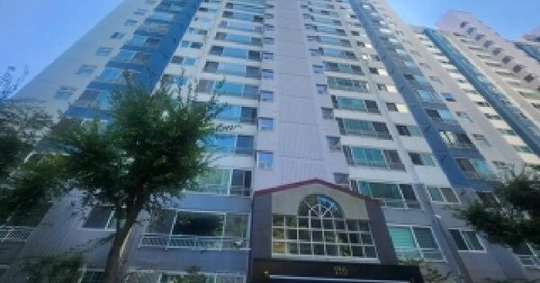 부산광역시 남구 대연동 243-23 대연청구아파트 110동 10층1002호 아파트 경매 물건 이미지
