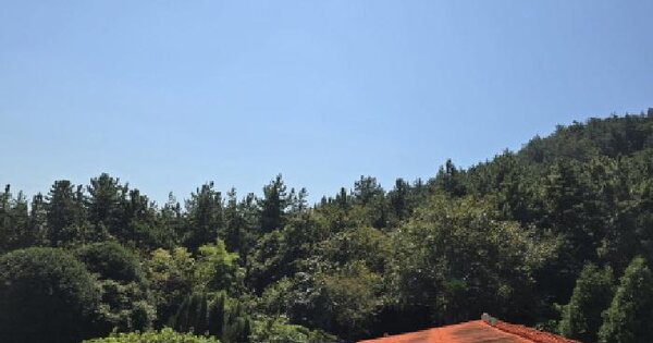 전남광주통합특별시 장흥군 용산면 상발리 산214  임야 경매 물건 이미지