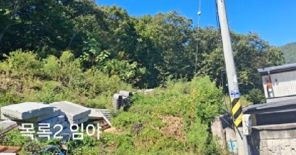 경기도 광주시 도척면 궁평리 800-10  임야 경매 물건 이미지