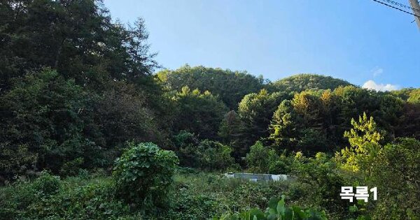 경기도 양평군 청운면 삼성리 134  전 경매 물건 이미지