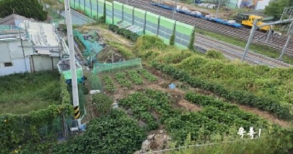 경기도 양평군 양서면 용담리 218-1  대지 경매 물건 이미지