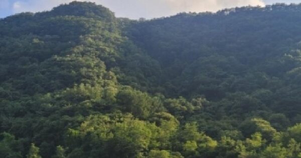 충청북도 청주시 서원구 현도면 우록리 산105  임야 경매 물건 이미지