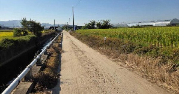 충청남도 천안시 서북구 성환읍 양령리 578-9  동물 및 식물 관련시설 경매 물건 이미지