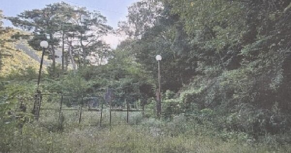 대구광역시 수성구 욱수동 산45-1  단독주택 경매 물건 이미지