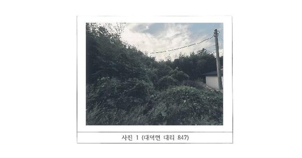 경상북도 김천시 대덕면 대리 847  대지 경매 물건 이미지