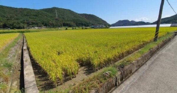 경상남도 창원시 마산합포구 진북면 인곡리 766  답 경매 물건 이미지