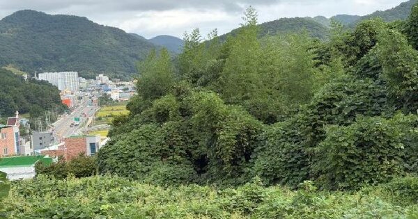 경상남도 거제시 연초면 연사리 1144  전 경매 물건 이미지