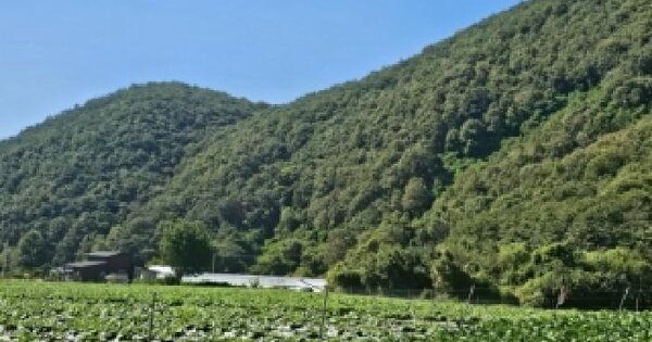 충청북도 괴산군 청천면 신월리 산4-5  임야 경매 물건 이미지