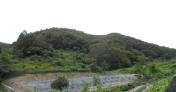 전북특별자치도 임실군 신덕면 오궁리 695  전 경매 물건 이미지