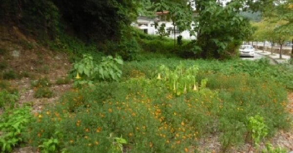 전북특별자치도 전주시 완산구 동서학동 856-9  대지 경매 물건 이미지