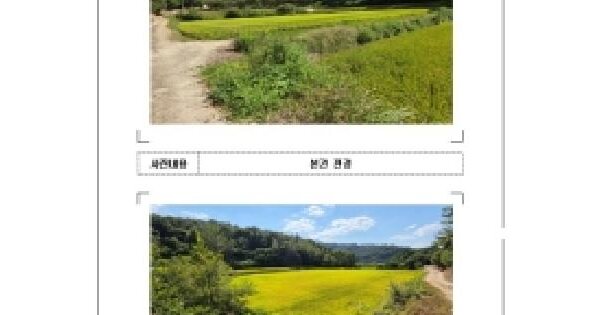 전남광주통합특별시 영암군 영암읍 학송리 386  답 경매 물건 이미지