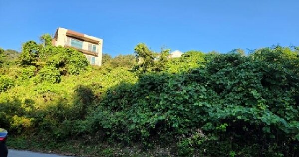 경기도 남양주시 수동면 지둔리 47  근린시설 경매 물건 이미지