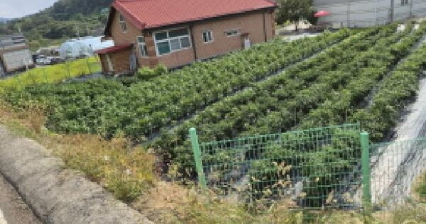 세종특별자치시  금남면 영곡리 110-5  창고시설 경매 물건 이미지