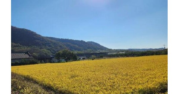 경상북도 영천시 고경면 상덕리 295-8  답 경매 물건 이미지