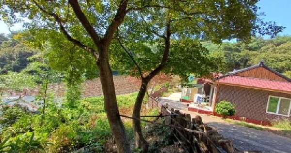 충청남도 태안군 안면읍 중장리 산18-42  임야 경매 물건 이미지