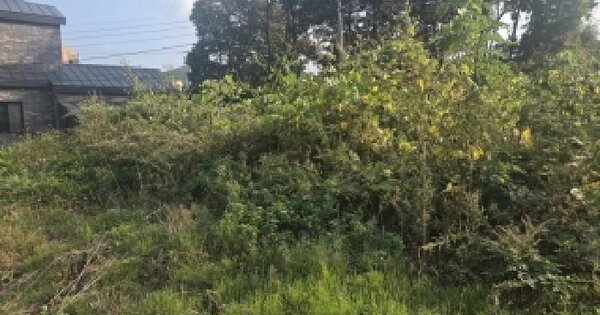 충청남도 공주시 우성면 평목리 14-5  임야 경매 물건 이미지