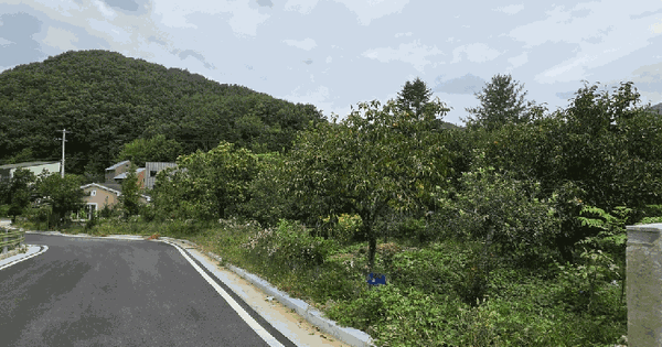 대구광역시 달성군 가창면 상원리 443  단독주택 경매 물건 이미지