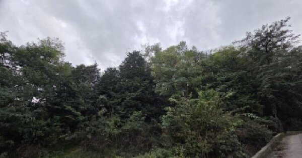 경상남도 창원시 의창구 동읍 용강리 산139-1  임야 경매 물건 이미지