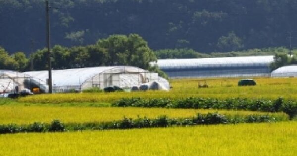 경상남도 창녕군 창녕읍 용석리 산8  임야 경매 물건 이미지
