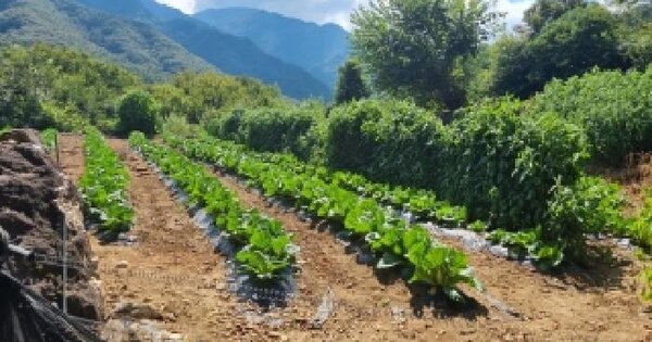 전북특별자치도 남원시 산내면 덕동리 172  전 경매 물건 이미지