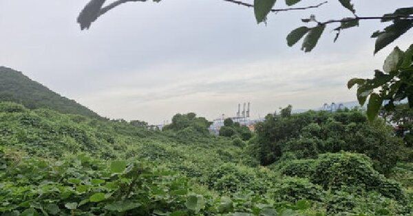 부산광역시 강서구 성북동 산46  임야 경매 물건 이미지