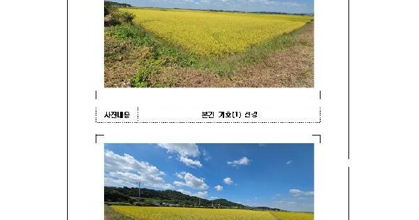 전남광주통합특별시 영암군 서호면 엄길리 1418-1  답 경매 물건 이미지