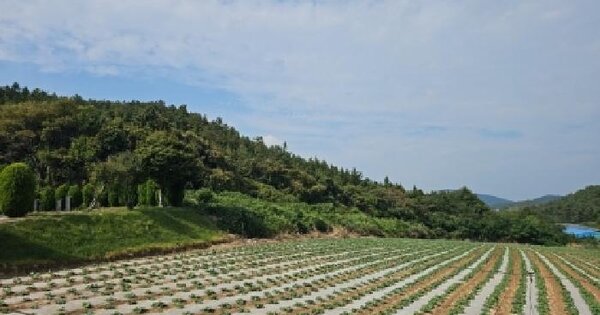 전남광주통합특별시 해남군 문내면 동외리 324-2  임야 경매 물건 이미지