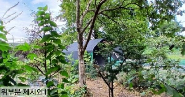 경기도 성남시 중원구 갈현동 산85-9  임야 경매 물건 이미지