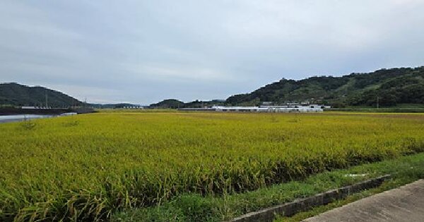 충청남도 예산군 응봉면 입침리 39-5  답 경매 물건 이미지