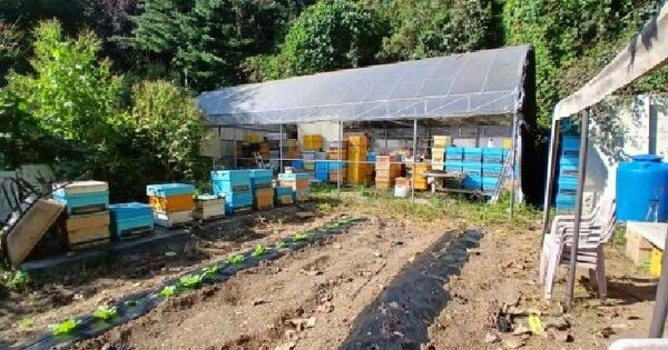 경기도 양주시 산북동 411  전 경매 물건 이미지