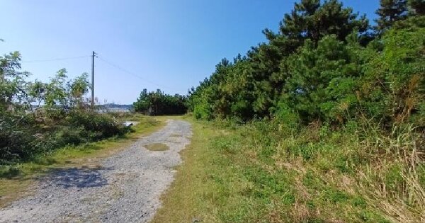 충청남도 태안군 원북면 신두리 1233-62  임야 경매 물건 이미지