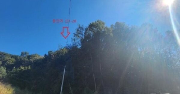 충청북도 옥천군 옥천읍 동안리 산1-28  임야 경매 물건 이미지