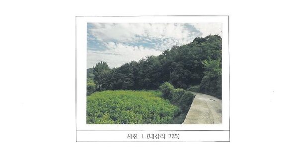 경상북도 김천시 대덕면 내감리 725  전 경매 물건 이미지