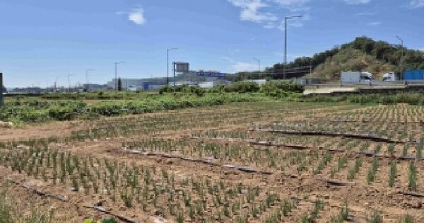 충청남도 천안시 서북구 입장면 가산리 540  답 경매 물건 이미지
