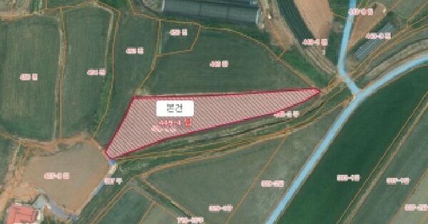충청남도 당진시 석문면 장고항리 449-4  답 경매 물건 이미지