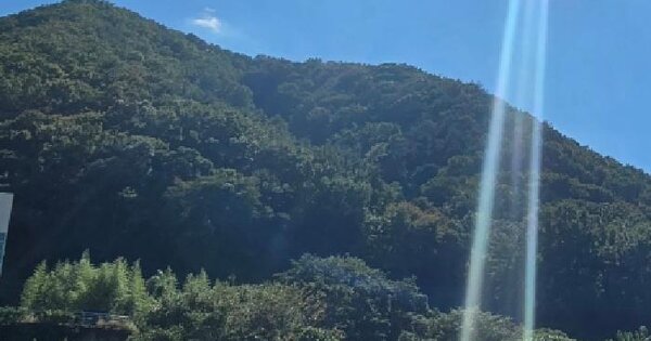 경상남도 양산시 용당동 산3-6  임야 경매 물건 이미지