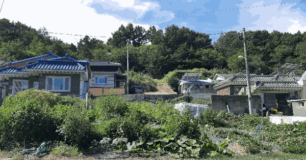 경상북도 고령군 우곡면 봉산리 1252  대지 경매 물건 이미지