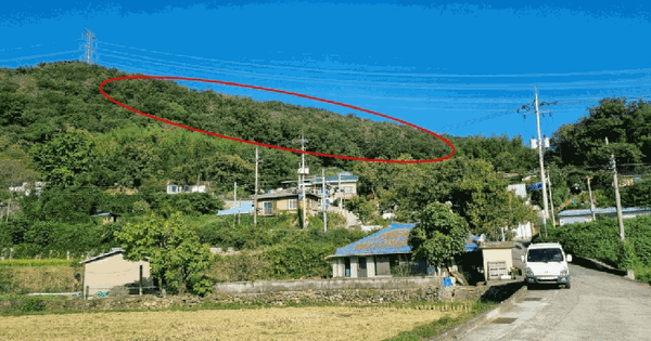 울산광역시 울주군 온양읍 내광리 산136  임야 경매 물건 이미지