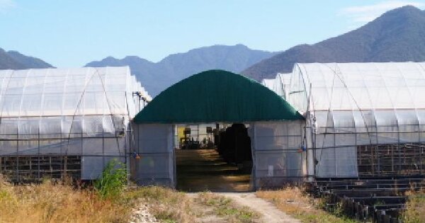 경상남도 창녕군 계성면 광계리 111-1  답 경매 물건 이미지