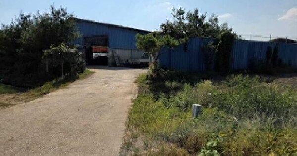 충청남도 아산시 염치읍 염성리 257-19  동물 및 식물 관련시설 경매 물건 이미지