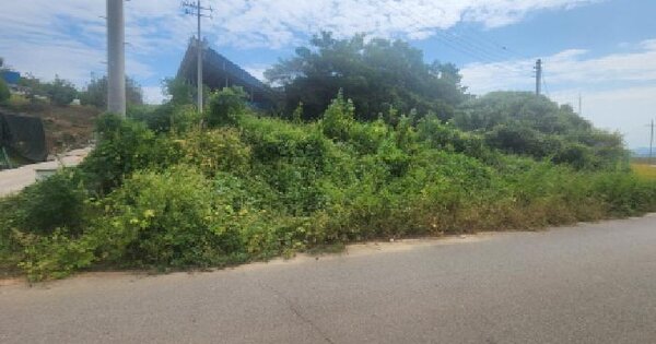 전남광주통합특별시 고흥군 풍양면 고옥리 404-1  전 경매 물건 이미지