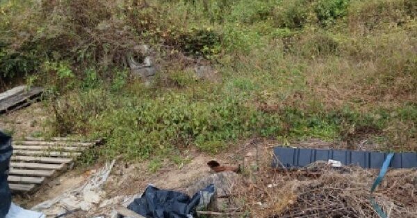 경기도 양평군 강상면 병산리 72-2  답 경매 물건 이미지