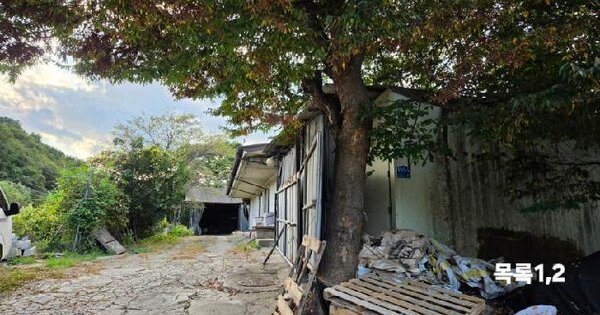 경기도 양평군 양서면 국수리 347-10  단독주택 경매 물건 이미지