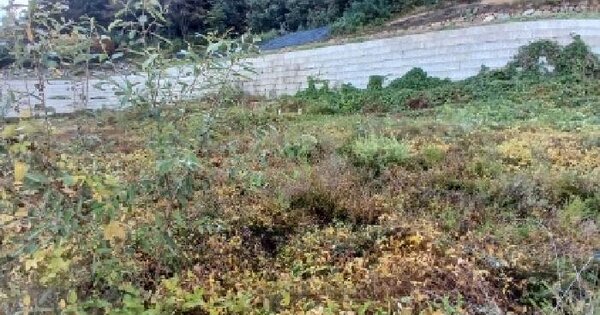 경기도 양평군 강하면 전수리 355-6  전 경매 물건 이미지