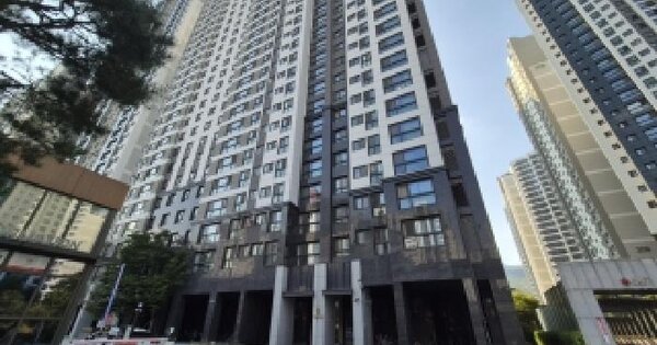 경기도 과천시 원문동 10 과천위버필드 205동 5층505호 아파트 경매 물건 이미지