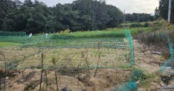 충청북도 청주시 청원구 내수읍 도원리 180-1  전 경매 물건 이미지