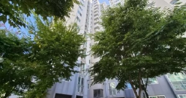 대전광역시 유성구 대정동 316-1 대전드리움아파트1단지 105동 10층1003호 아파트 경매 물건 이미지