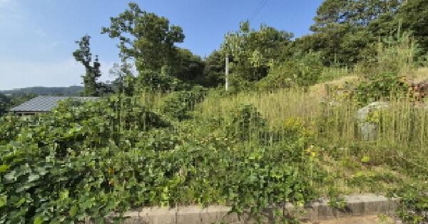 세종특별자치시  장군면 송학리 253-8  임야 경매 물건 이미지