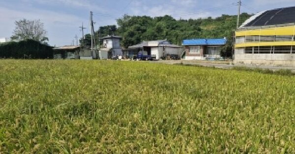 충청남도 보령시 청소면 진죽리 875-1  분뇨 및 쓰레기처리시설 경매 물건 이미지
