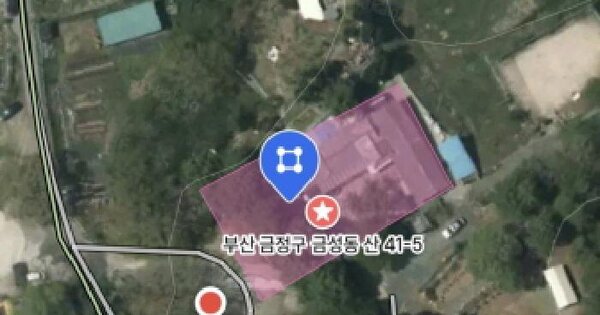 부산광역시 금정구 금성동 산41-4  단독주택 경매 물건 이미지